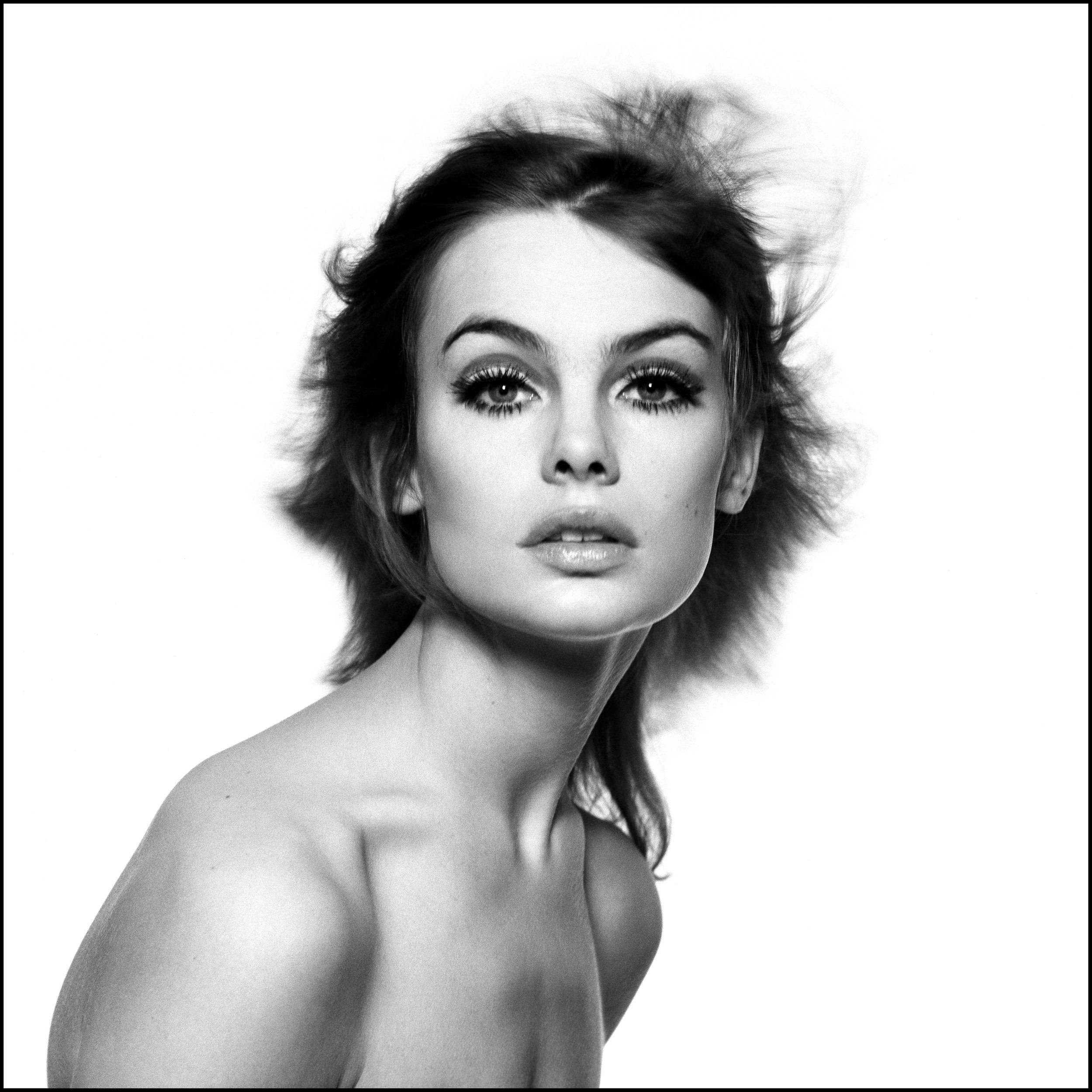 David Bailey — THE PHOTOGALLERY David Bailey — THE PHOTOGALLERY